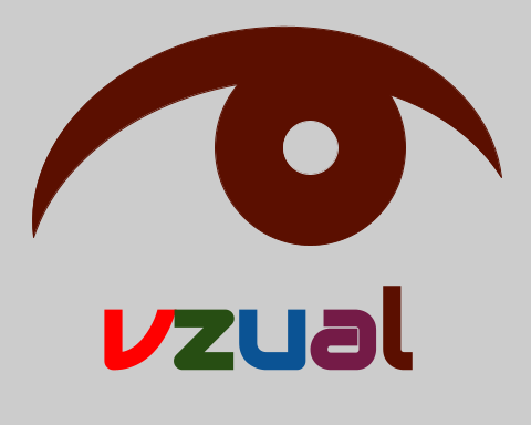 vzual Logo